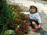 DSCF9807.jpg