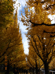 DSCN2193.jpg